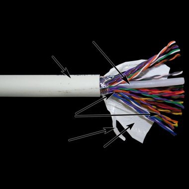 Фотография товара 'Lanmaster TWT-5EUTP25-XS'