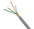 Lanmaster TWT-TEL4/100-GY