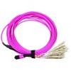 Lanmaster LAN-12M-12LC/OM4-3.0