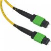 Lanmaster LAN-12M-12M/OS2B-30